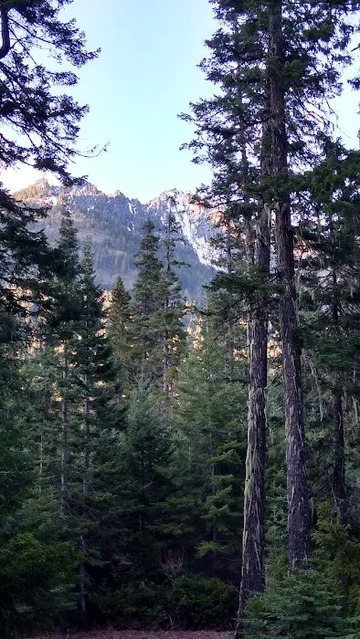 Blackpine horse camp 0