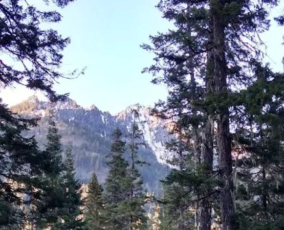 Blackpine horse camp