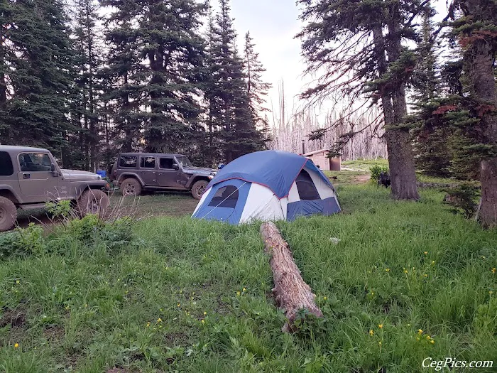 Lion Rock Spring Campground 1