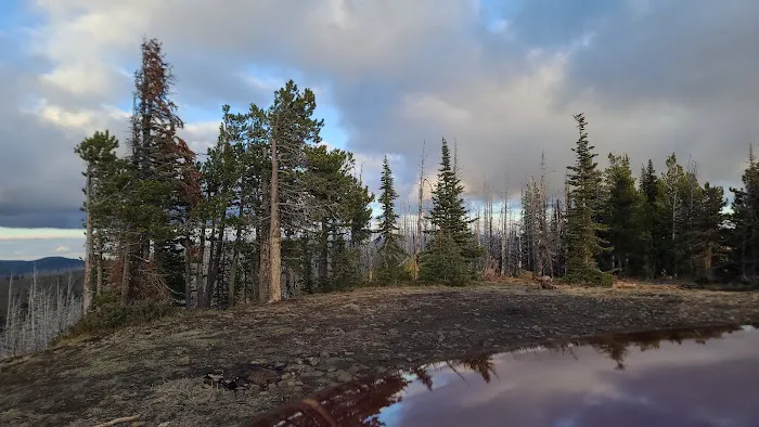 Lion Rock Spring Campground 3