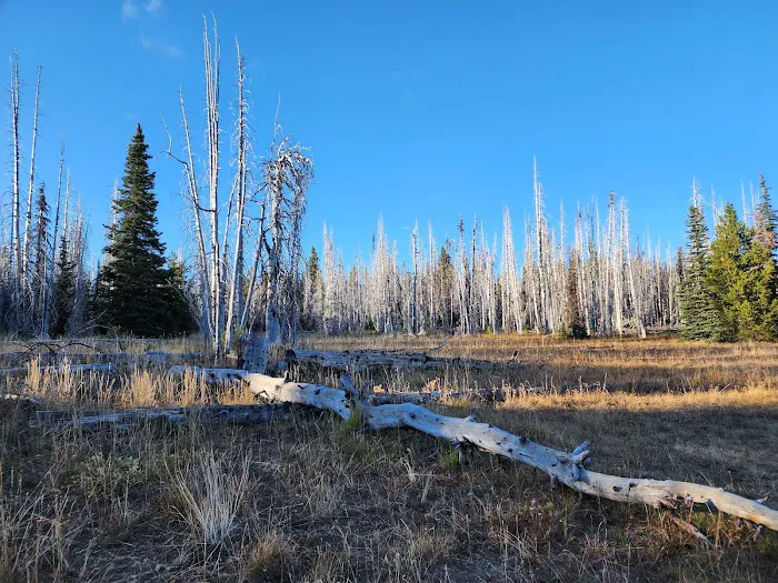 Lion Rock Spring Campground 9