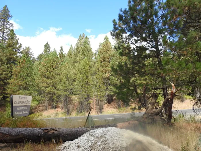 Swauk Campground 2