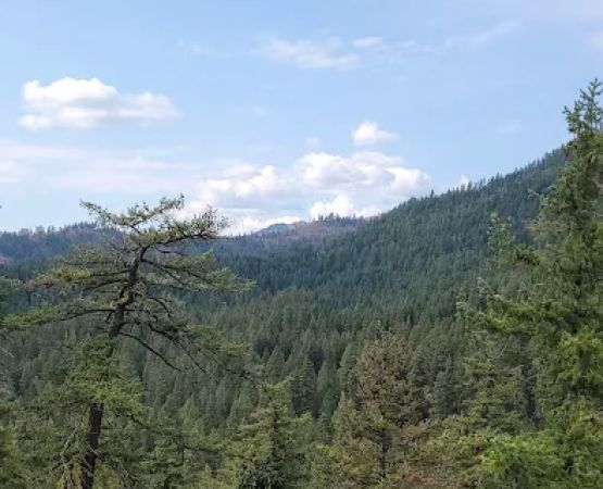 Swauk Campground