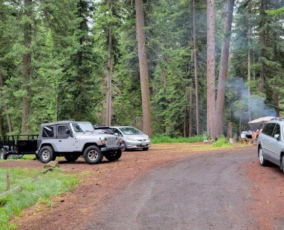Mineral Springs Group Campground