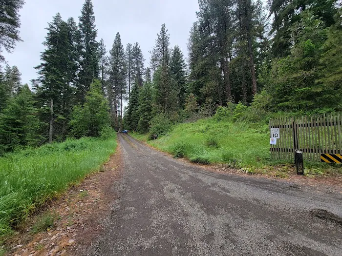 Mineral Springs Group Campground 4