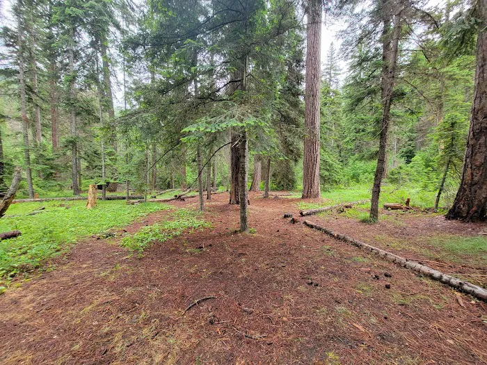 Mineral Springs Group Campground 6