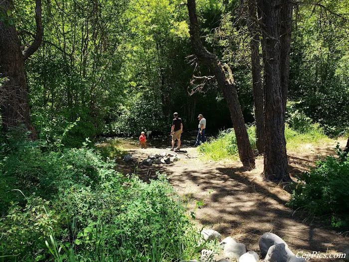 Liberty Recreation Site 6