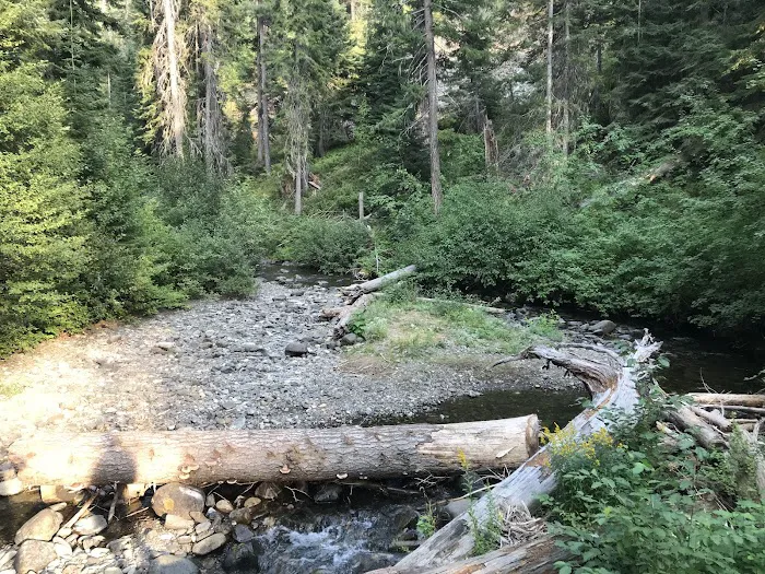 Twentynine Pines Campground 6
