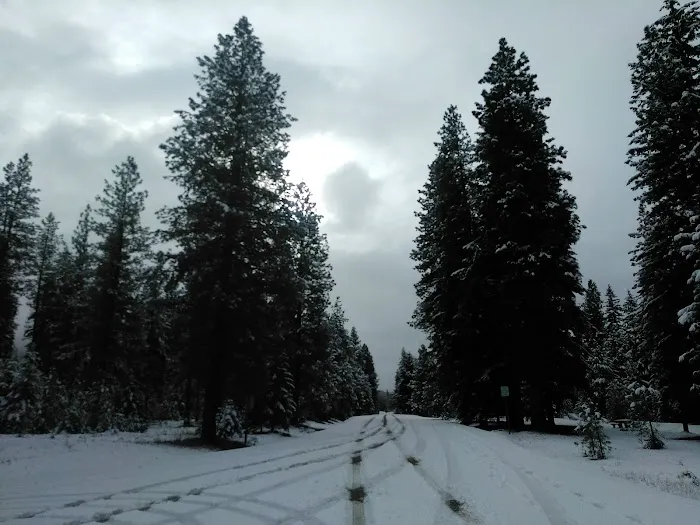 Twentynine Pines Campground 0