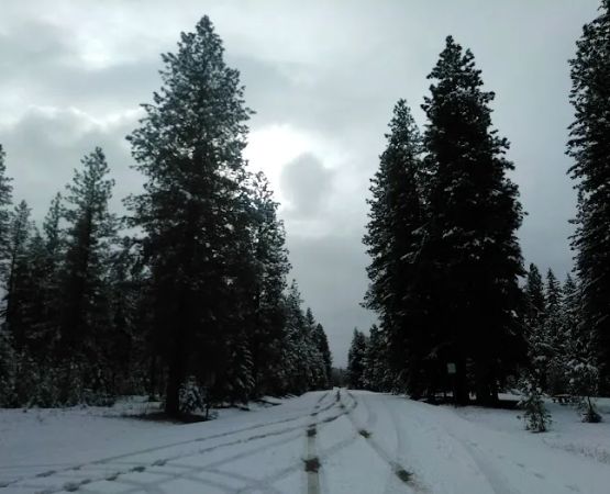Twentynine Pines Campground