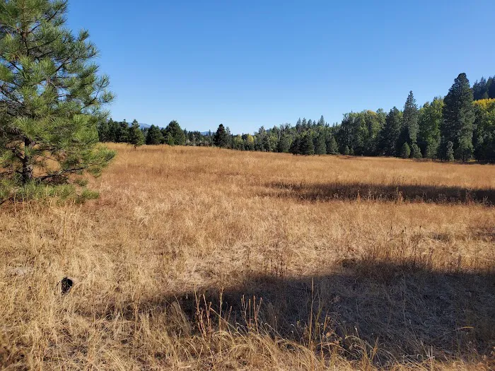 Teanaway Campground 7