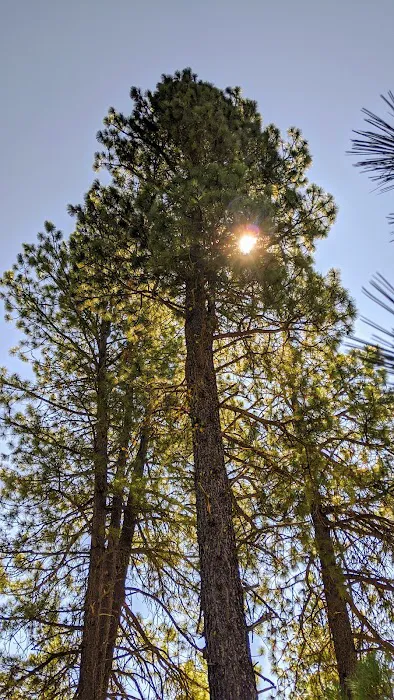 Teanaway Campground 3