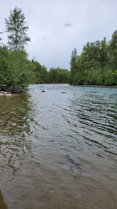 Ponderosa Campground 2