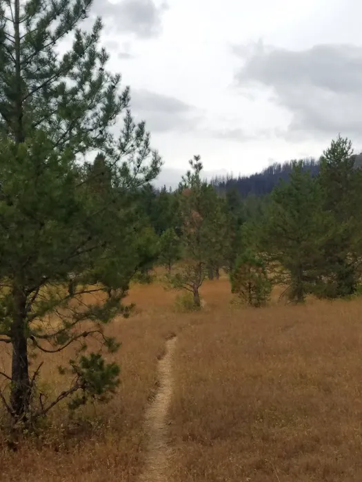 Indian Camp Campground 3