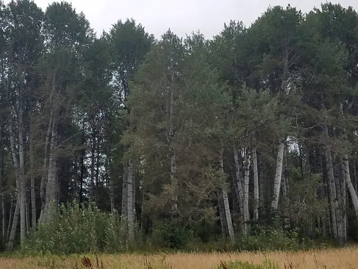 Indian Camp Campground 5