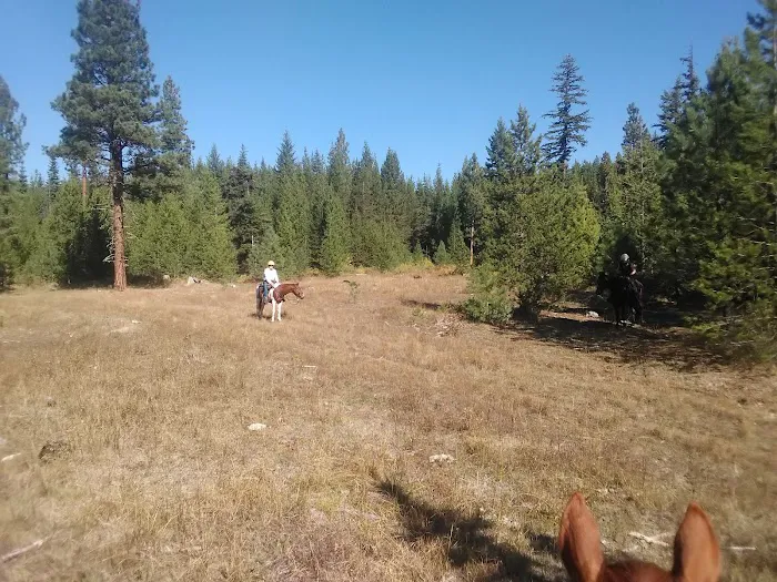 Indian Camp Campground 1