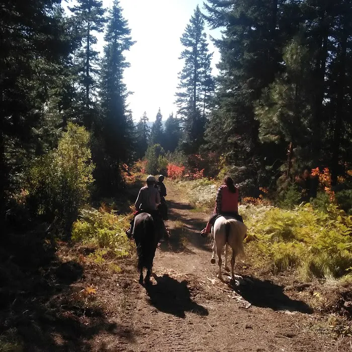 Indian Camp Campground 9