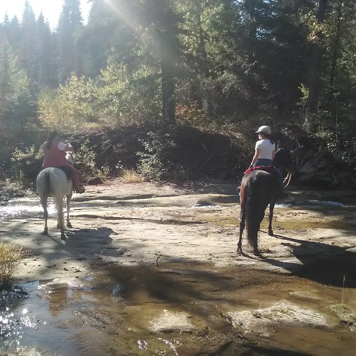 Indian Camp Campground 6