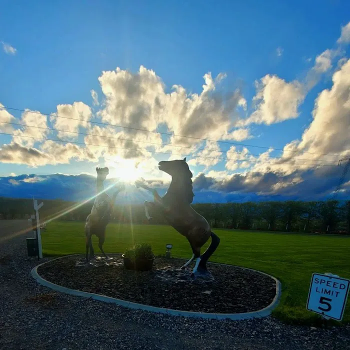 Wildhorse Campground 8
