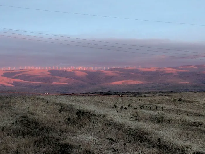 Sage Creek Campground 9