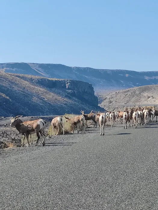 Rocky Coulee Recreation Area 0