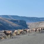 Rocky Coulee Recreation Area