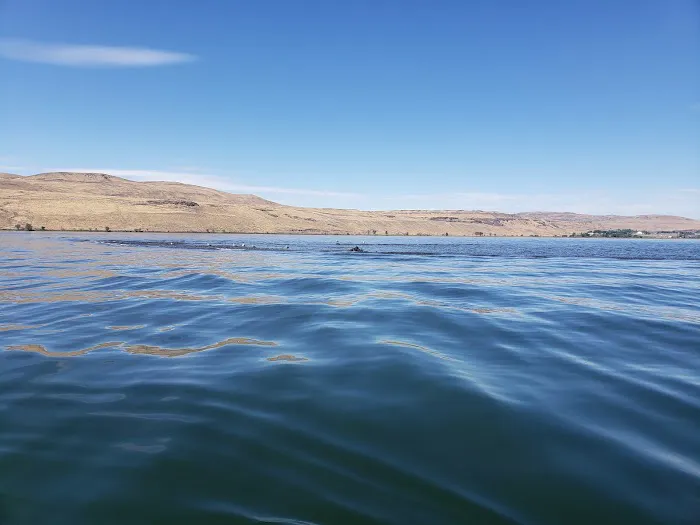 Wanapum State Park Campground 9
