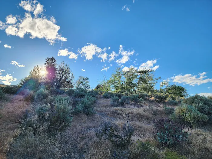 Wanapum State Park Campground 7