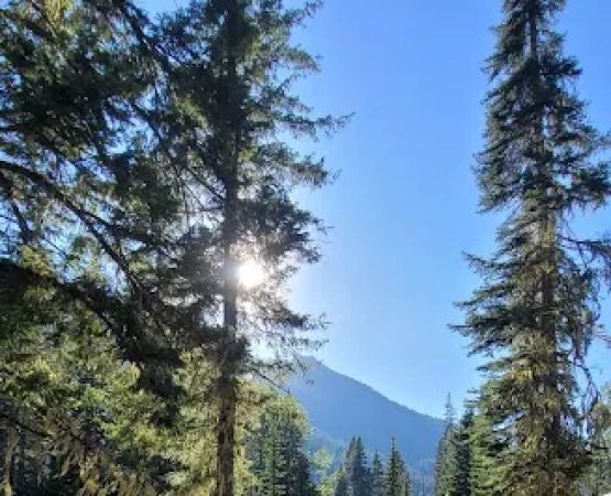 Schaefer Creek Campground