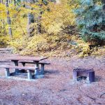 Finner Creek Campground