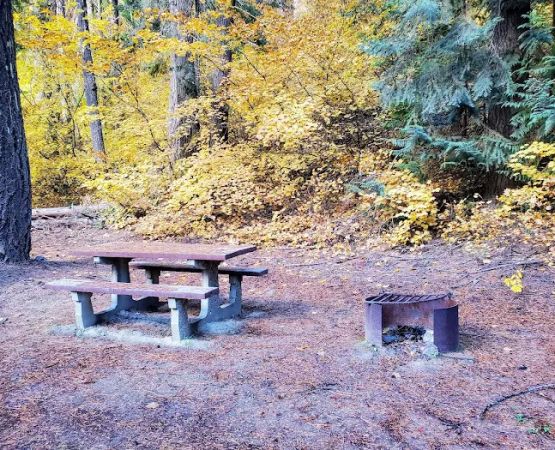 Finner Creek Campground