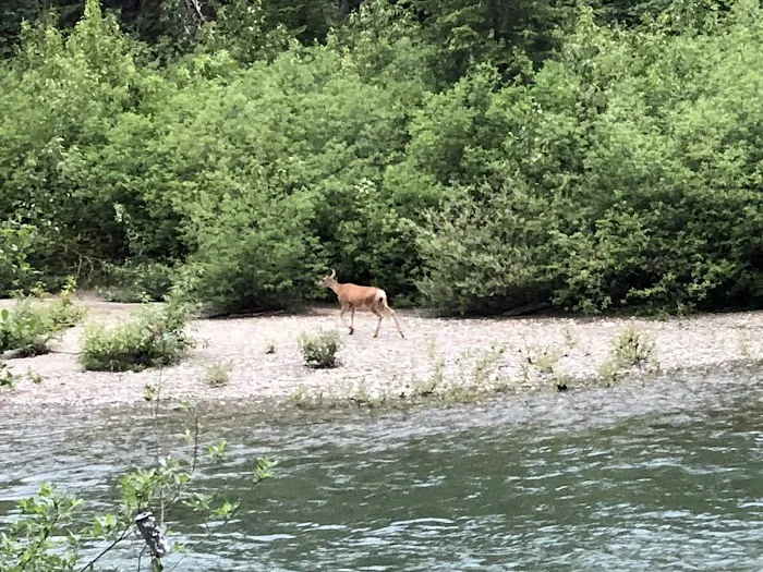 Atkinson Flat Campground 0