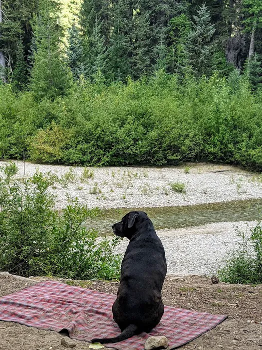 Atkinson Flat Campground 4