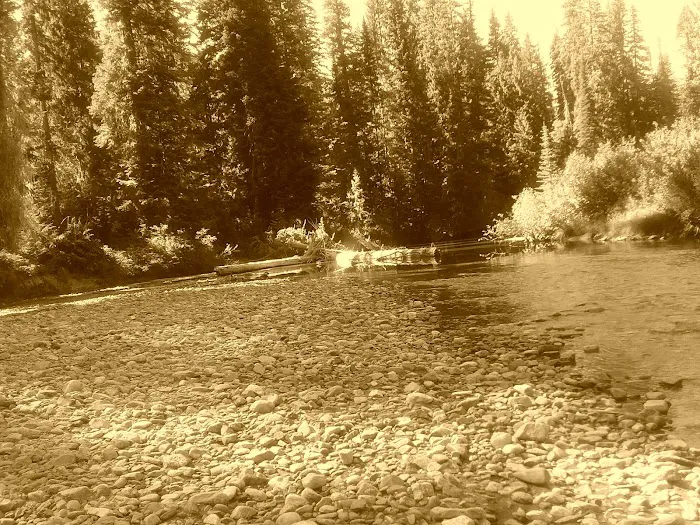 Atkinson Flat Campground 5
