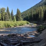 Nineteenmile Campground