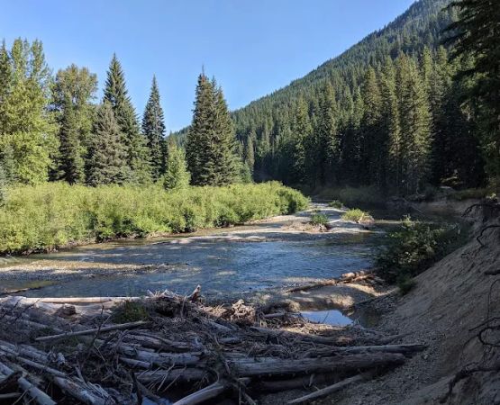 Nineteenmile Campground