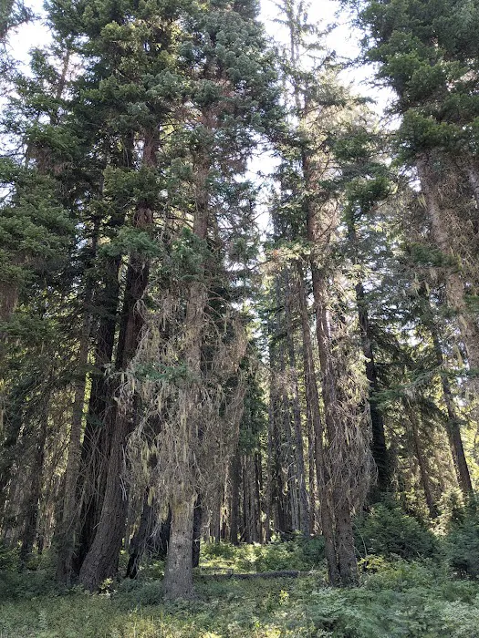 Nineteenmile Campground 4