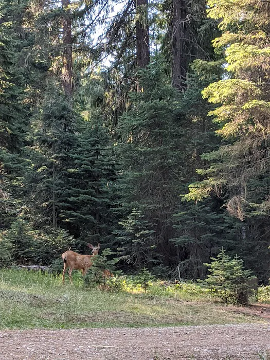 Nineteenmile Campground 9