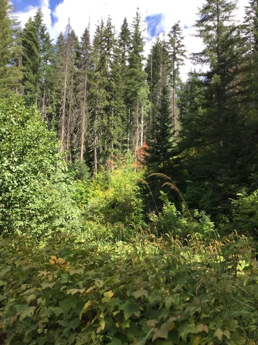 Napeequa Crossing Campground 8