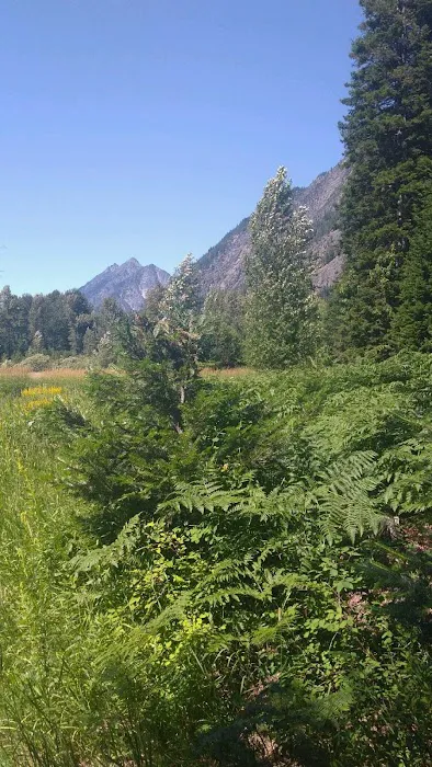 Grasshopper Meadows Campground 3