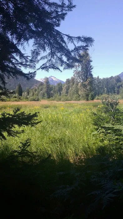 Grasshopper Meadows Campground 0