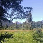 Grasshopper Meadows Campground