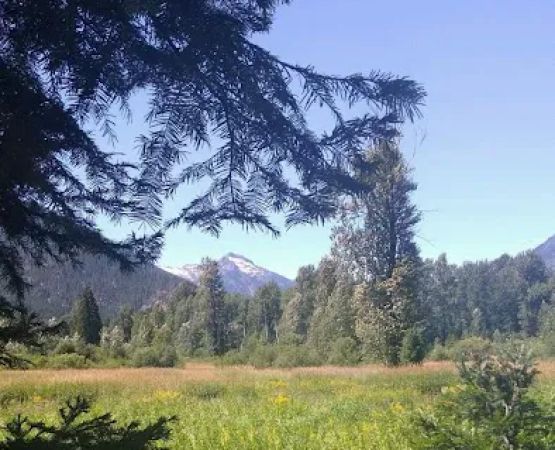 Grasshopper Meadows Campground