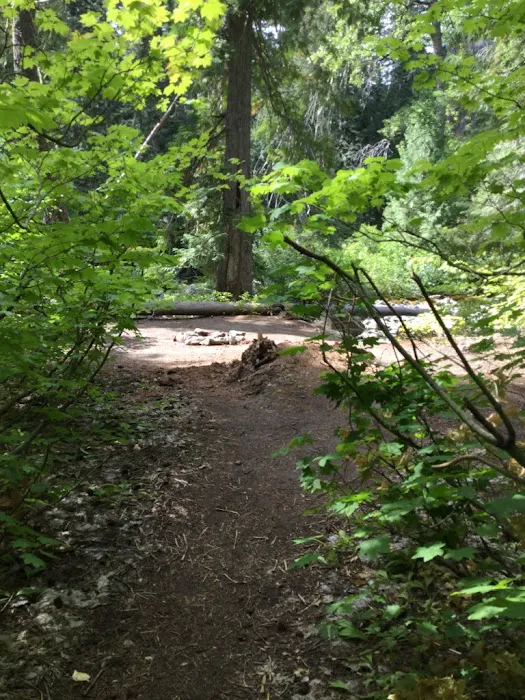Grasshopper Meadows Campground 8