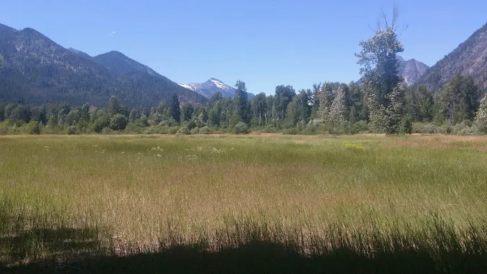 Grasshopper Meadows Campground 2