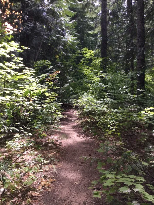 Grasshopper Meadows Campground 9