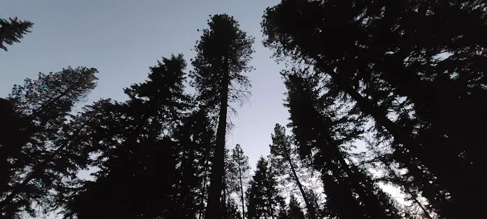 Grouse Creek Group Campground 5