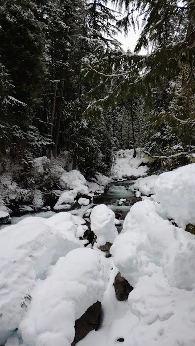 White River Falls Campground 6