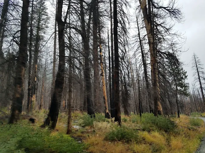 Cottonwood Campground - Entiat Ranger District 1