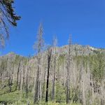 Cottonwood Campground - Entiat Ranger District